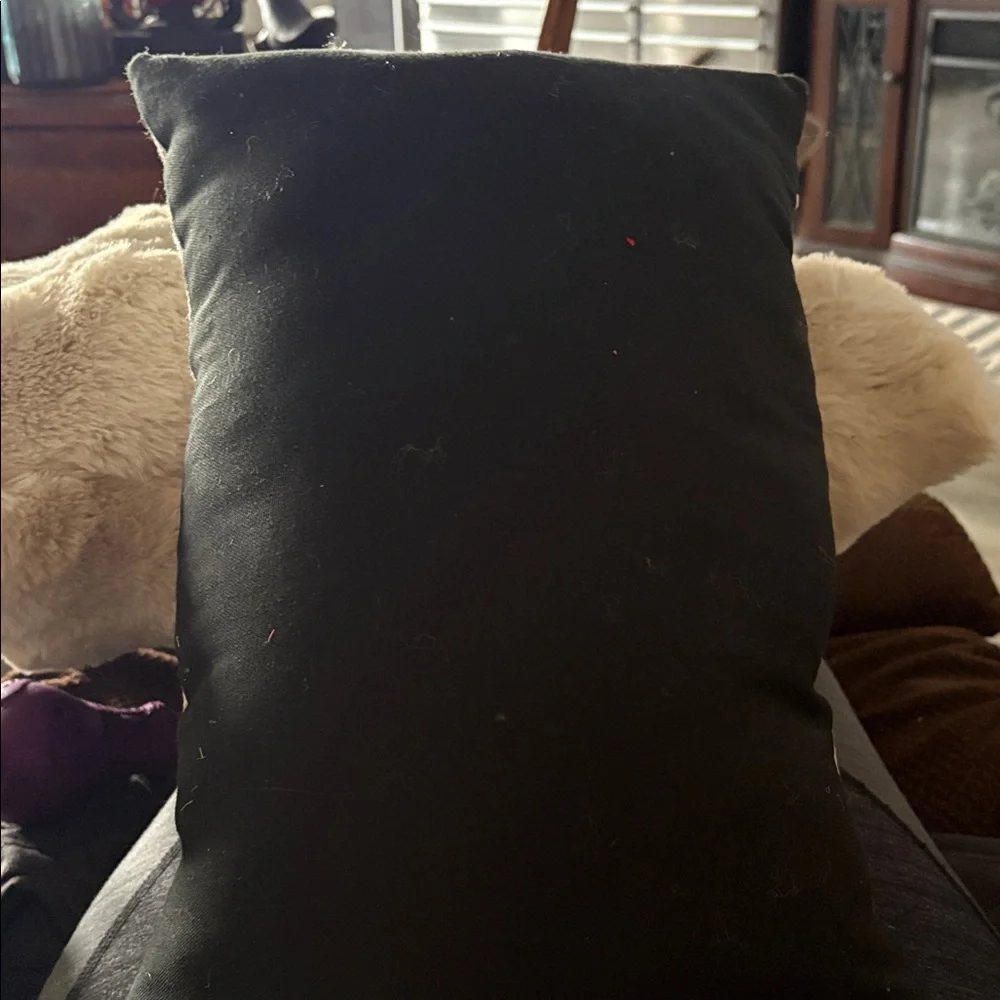Halloween Themed Decorative Pillow